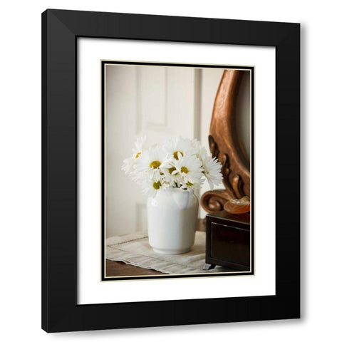 Daisy Bouquet II Black Modern Wood Framed Art Print with Double Matting by Clayton-Thompson, Philip