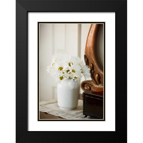 Daisy Bouquet II Black Modern Wood Framed Art Print with Double Matting by Clayton-Thompson, Philip