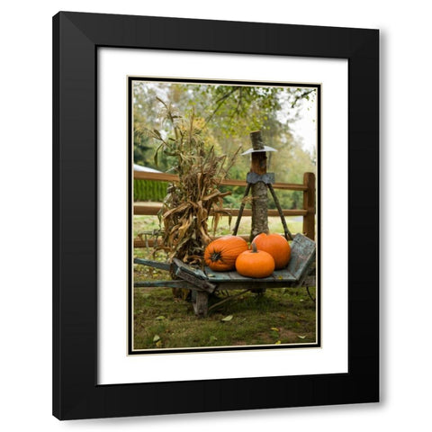 Autumn Harvest II Black Modern Wood Framed Art Print with Double Matting by Clayton-Thompson, Philip