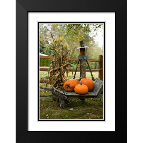Autumn Harvest II Black Modern Wood Framed Art Print with Double Matting by Clayton-Thompson, Philip