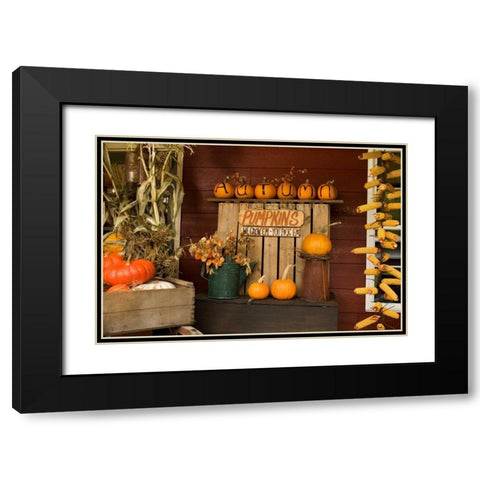 Autumn Harvest III Black Modern Wood Framed Art Print with Double Matting by Clayton-Thompson, Philip