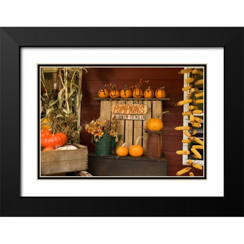 Autumn Harvest III Black Modern Wood Framed Art Print with Double Matting by Clayton-Thompson, Philip