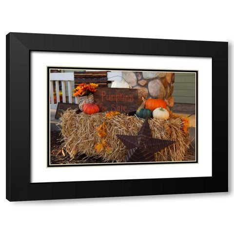 Autumn Harvest IV Black Modern Wood Framed Art Print with Double Matting by Clayton-Thompson, Philip