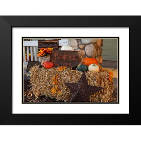 Autumn Harvest IV Black Modern Wood Framed Art Print with Double Matting by Clayton-Thompson, Philip
