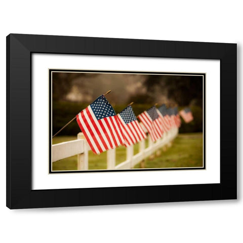 Flags I Black Modern Wood Framed Art Print with Double Matting by Clayton-Thompson, Philip