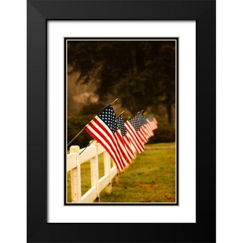 Flags II Black Modern Wood Framed Art Print with Double Matting by Clayton-Thompson, Philip