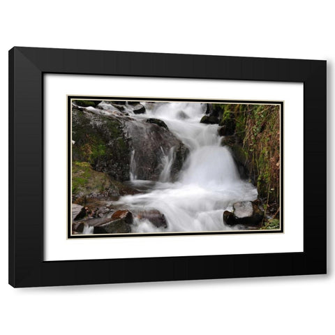 Stream Falls IV Black Modern Wood Framed Art Print with Double Matting by Thomas, Logan