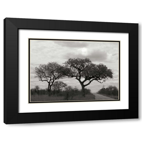 Tree II Black Modern Wood Framed Art Print with Double Matting by Underdahl, Dana