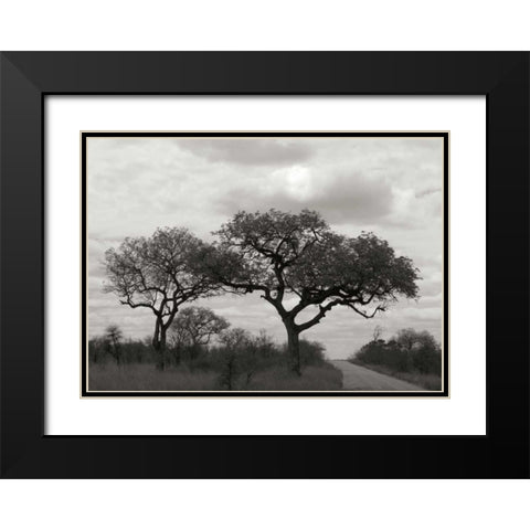 Tree II Black Modern Wood Framed Art Print with Double Matting by Underdahl, Dana