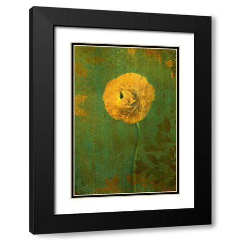 Yellow Renunculus Black Modern Wood Framed Art Print with Double Matting by Geyman, Vitaly