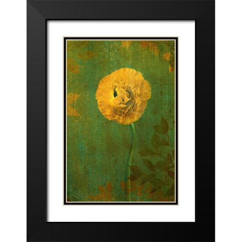 Yellow Renunculus Black Modern Wood Framed Art Print with Double Matting by Geyman, Vitaly