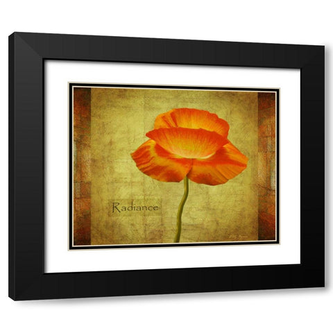Dancing Poppy Radiance Black Modern Wood Framed Art Print with Double Matting by Geyman, Vitaly
