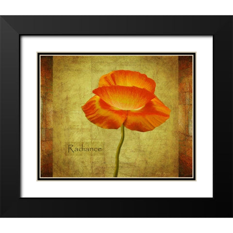 Dancing Poppy Radiance Black Modern Wood Framed Art Print with Double Matting by Geyman, Vitaly