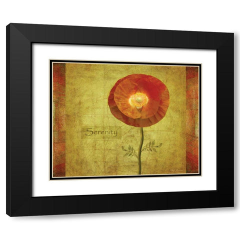Poppy Serenity Black Modern Wood Framed Art Print with Double Matting by Geyman, Vitaly