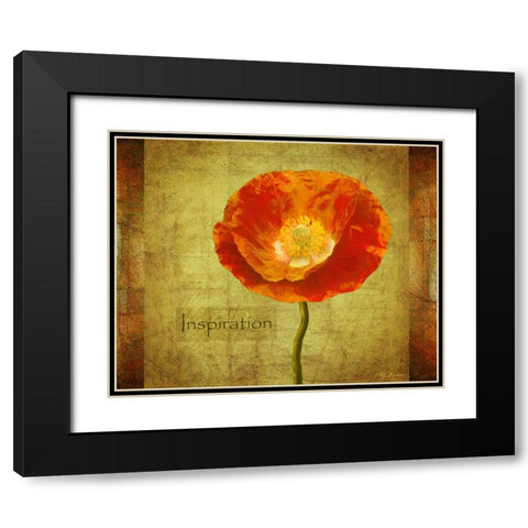 Sun Poppy Inspiration Black Modern Wood Framed Art Print with Double Matting by Geyman, Vitaly