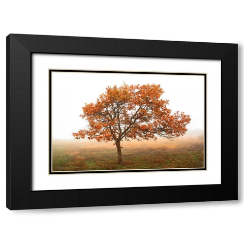 Burning Oak Black Modern Wood Framed Art Print with Double Matting by Geyman, Vitaly