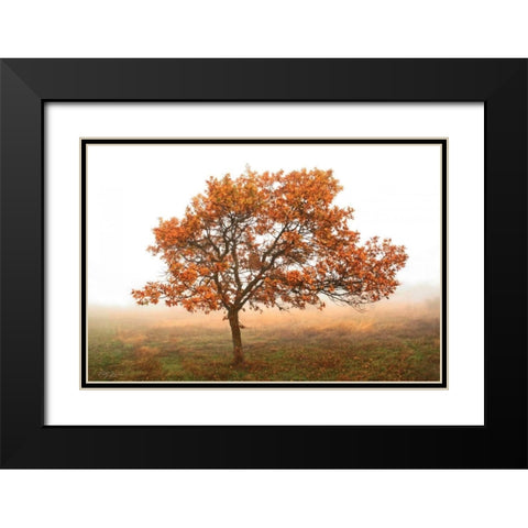 Burning Oak Black Modern Wood Framed Art Print with Double Matting by Geyman, Vitaly