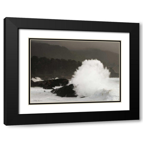 Sea Fan Black Modern Wood Framed Art Print with Double Matting by Geyman, Vitaly