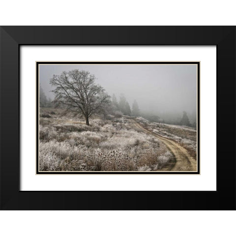 Winter Serenity Black Modern Wood Framed Art Print with Double Matting by Geyman, Vitaly