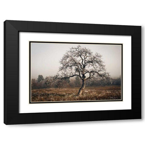 Frosty Tree Black Modern Wood Framed Art Print with Double Matting by Geyman, Vitaly