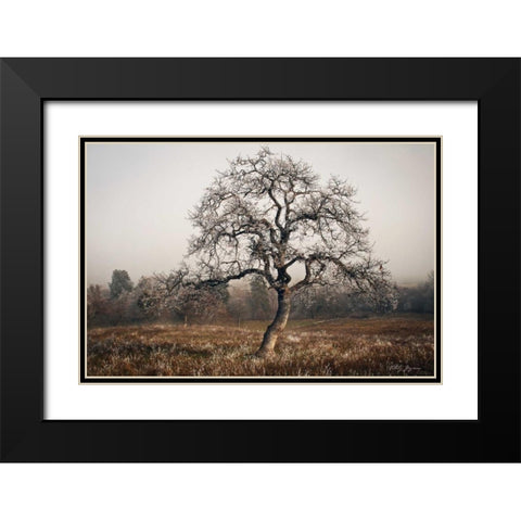 Frosty Tree Black Modern Wood Framed Art Print with Double Matting by Geyman, Vitaly