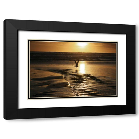 Sunset Bird Black Modern Wood Framed Art Print with Double Matting by Geyman, Vitaly