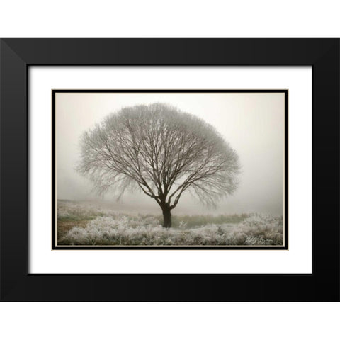 Tranquility II Black Modern Wood Framed Art Print with Double Matting by Geyman, Vitaly