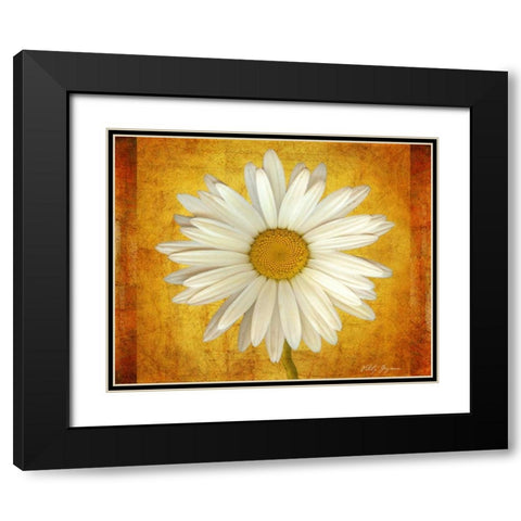 Daisy in Gold Black Modern Wood Framed Art Print with Double Matting by Geyman, Vitaly