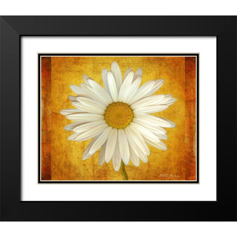 Daisy in Gold Black Modern Wood Framed Art Print with Double Matting by Geyman, Vitaly