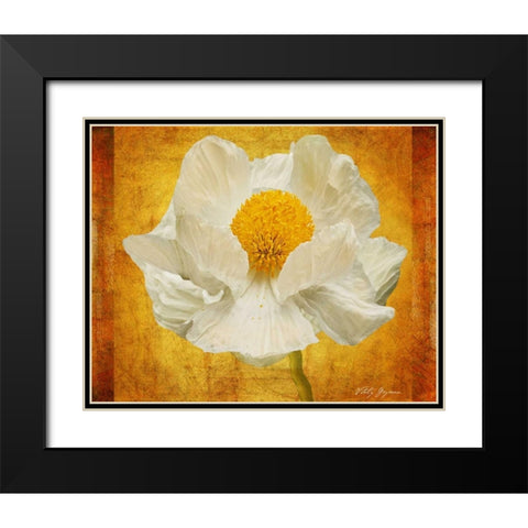 Poppy in Gold Black Modern Wood Framed Art Print with Double Matting by Geyman, Vitaly