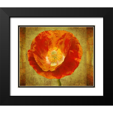 Sun Poppy I Black Modern Wood Framed Art Print with Double Matting by Geyman, Vitaly