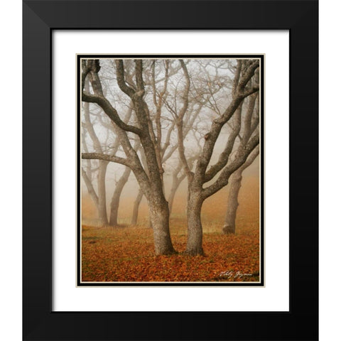 Misty Dance Black Modern Wood Framed Art Print with Double Matting by Geyman, Vitaly