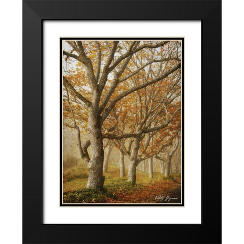 In the Mist I Black Modern Wood Framed Art Print with Double Matting by Geyman, Vitaly