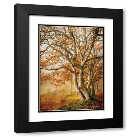 In the Mist II Black Modern Wood Framed Art Print with Double Matting by Geyman, Vitaly