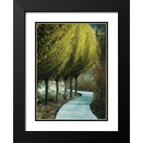 Evening Glow I Black Modern Wood Framed Art Print with Double Matting by Geyman, Vitaly