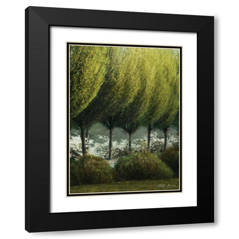Evening Glow II Black Modern Wood Framed Art Print with Double Matting by Geyman, Vitaly