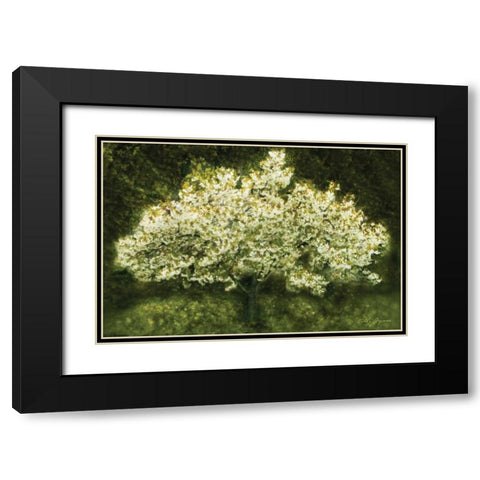 White Cherry Tree II Black Modern Wood Framed Art Print with Double Matting by Geyman, Vitaly