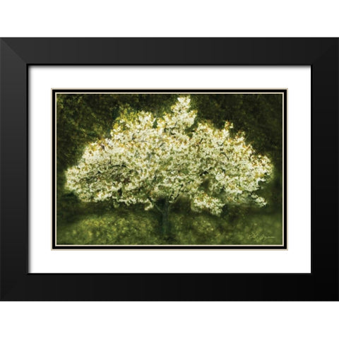 White Cherry Tree II Black Modern Wood Framed Art Print with Double Matting by Geyman, Vitaly