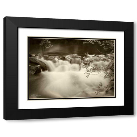 Sepia Waters IV Black Modern Wood Framed Art Print with Double Matting by Geyman, Vitaly