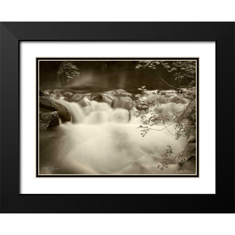 Sepia Waters IV Black Modern Wood Framed Art Print with Double Matting by Geyman, Vitaly
