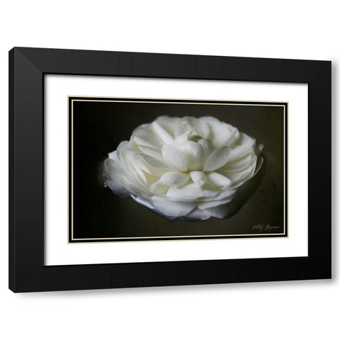 Floating Renunculus Black Modern Wood Framed Art Print with Double Matting by Geyman, Vitaly