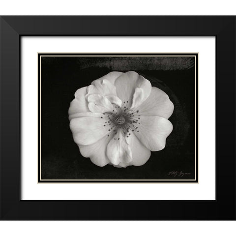 Classic Beauty Black Modern Wood Framed Art Print with Double Matting by Geyman, Vitaly