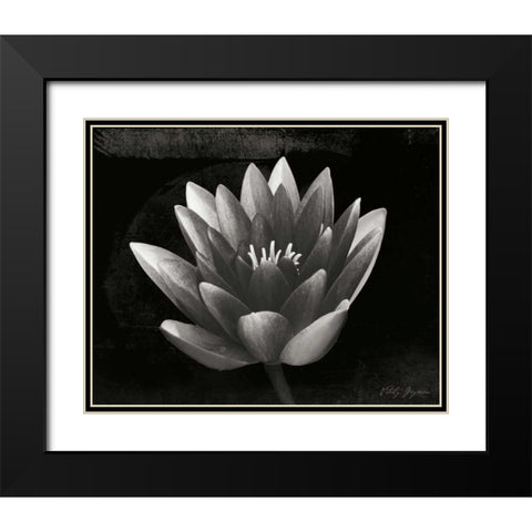 Glowing Lotus II Black Modern Wood Framed Art Print with Double Matting by Geyman, Vitaly