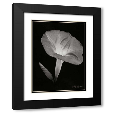Morning Glory I Black Modern Wood Framed Art Print with Double Matting by Geyman, Vitaly
