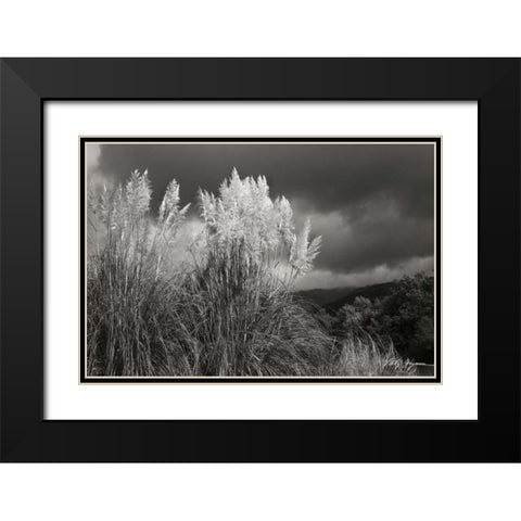 White Towers I BandW Black Modern Wood Framed Art Print with Double Matting by Geyman, Vitaly
