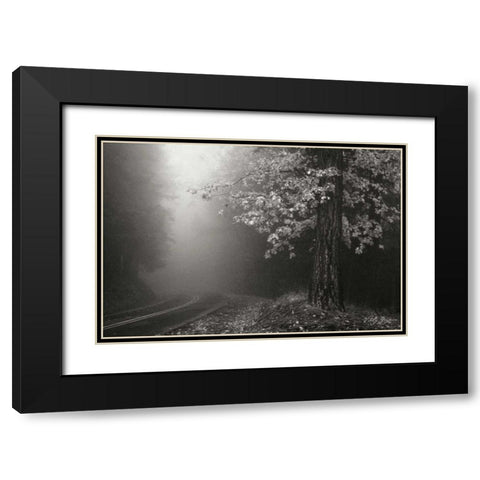 Misty Yellow Tree BandW Black Modern Wood Framed Art Print with Double Matting by Geyman, Vitaly