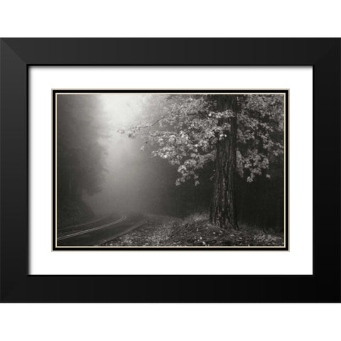 Misty Yellow Tree BandW Black Modern Wood Framed Art Print with Double Matting by Geyman, Vitaly