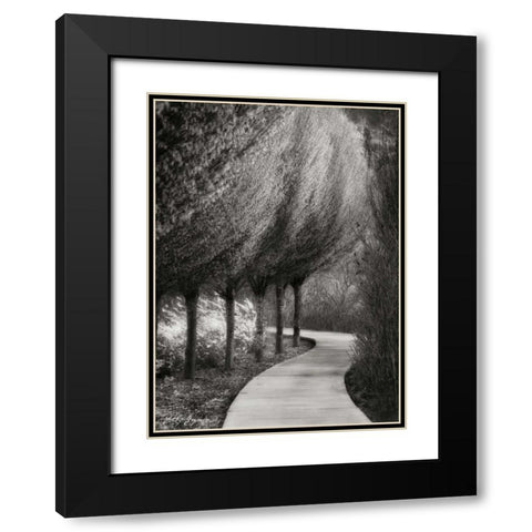 Evening Glow I BandW Black Modern Wood Framed Art Print with Double Matting by Geyman, Vitaly