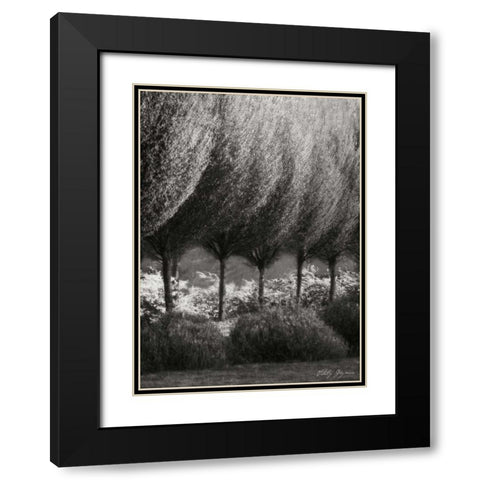 Evening Glow II BandW Black Modern Wood Framed Art Print with Double Matting by Geyman, Vitaly