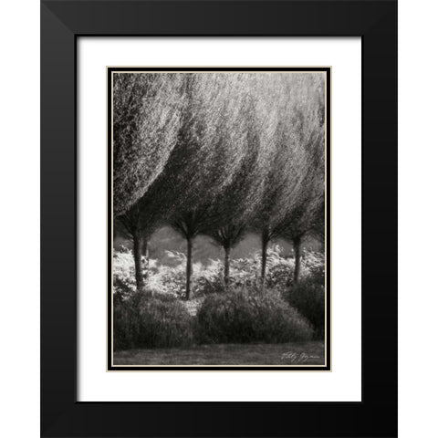 Evening Glow II BandW Black Modern Wood Framed Art Print with Double Matting by Geyman, Vitaly